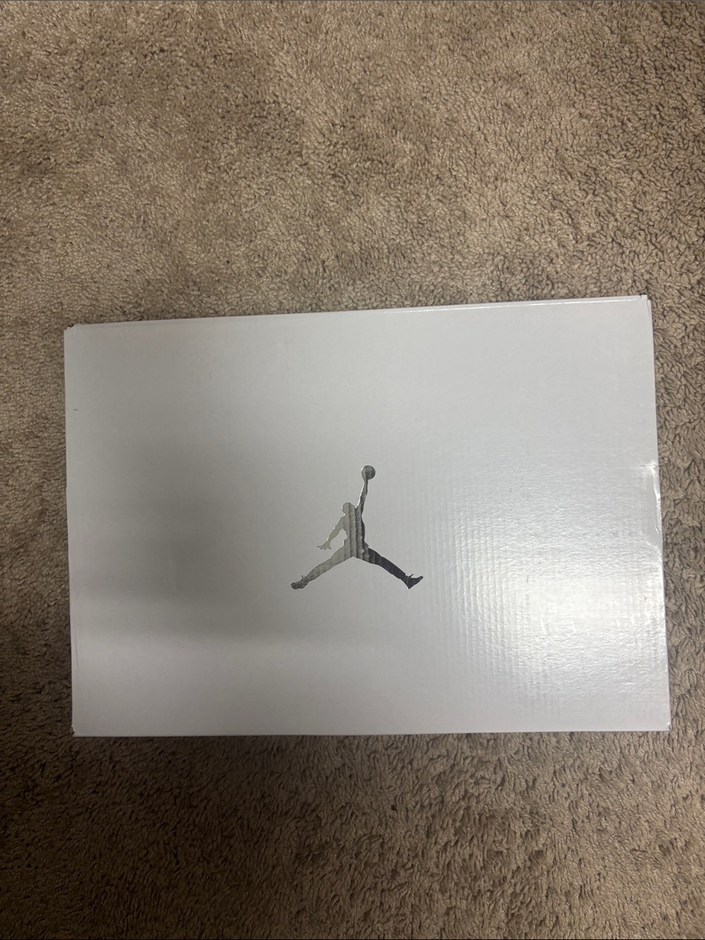 Jordan Metallic Silver Jumpman Logo Wall Poster